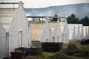 Kaštelanski staklenici porezni dug podmirit će ustupanjem zemljišta