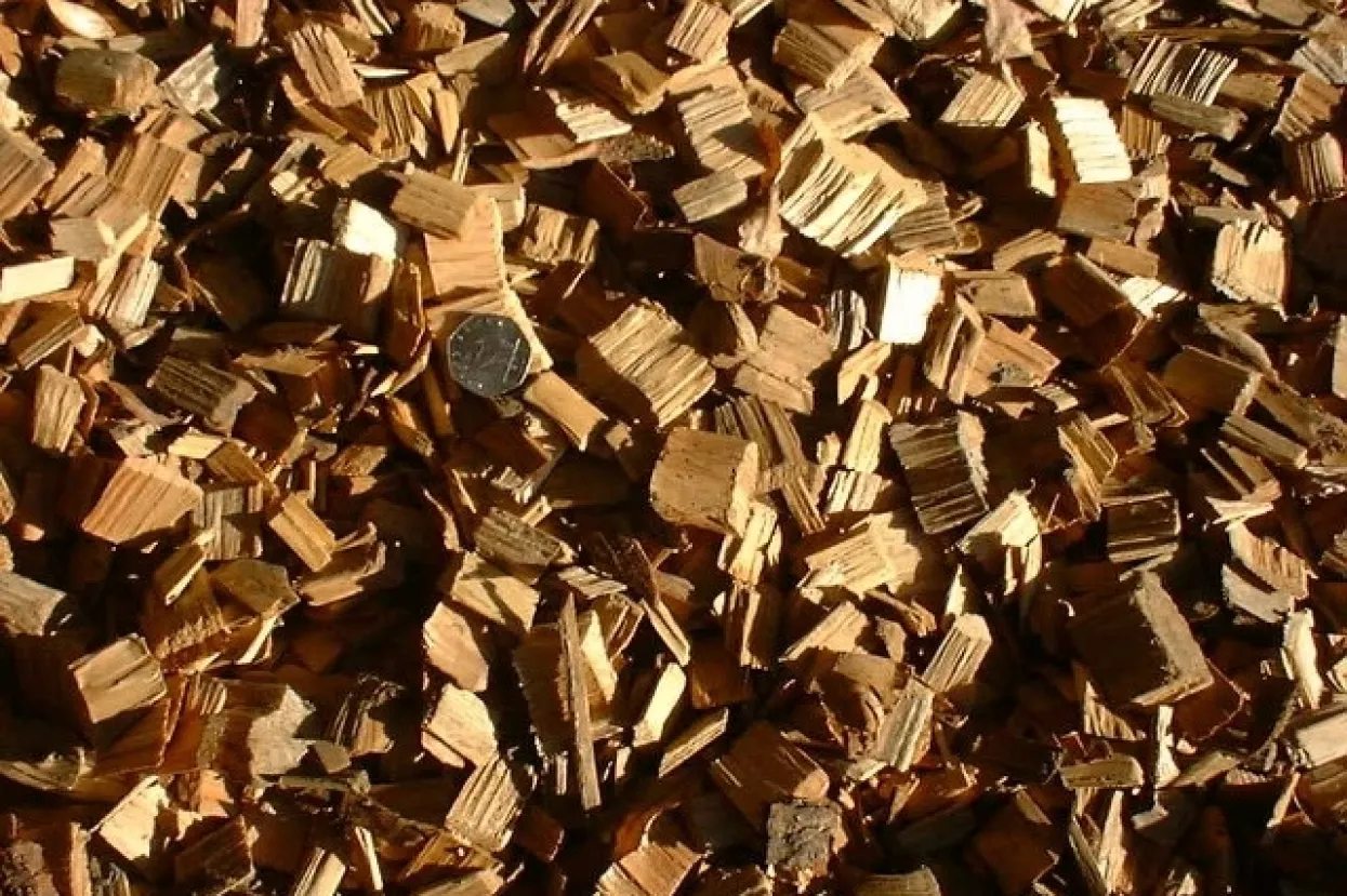 Biomasa - domaći energent velike vrijednosti