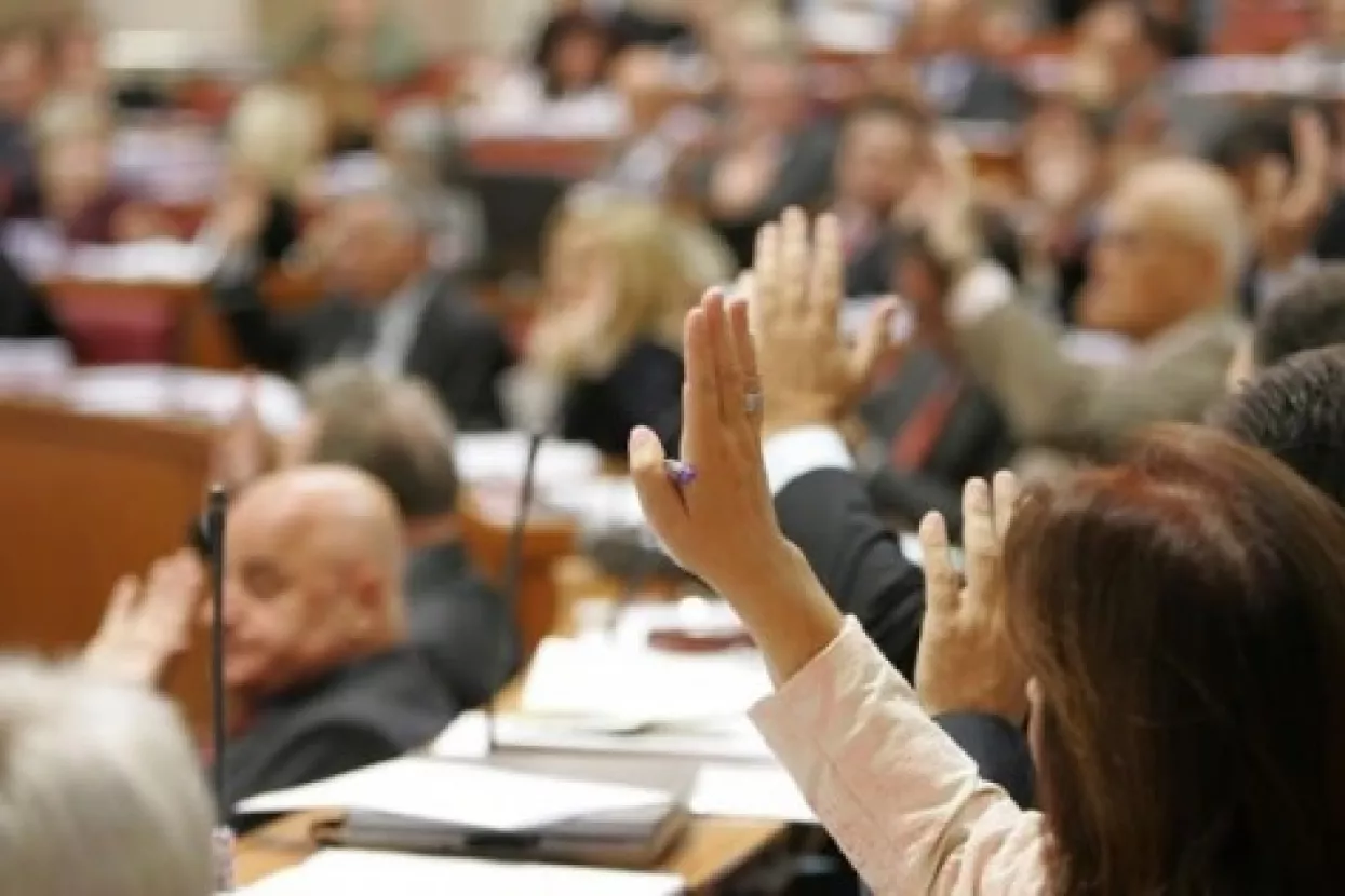 Volonteri i u Saboru