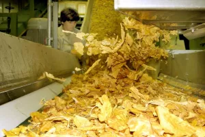 Hrvatski duhani dobit raspoređuju za pokriće gubitaka