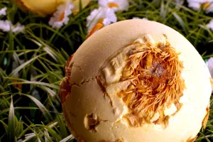 Fond Lush Nagrade od 250 tisuća funti