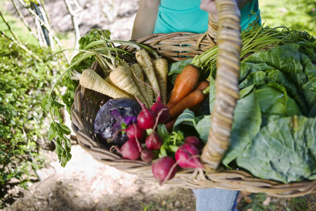 Znate li &scaron;to jedete?