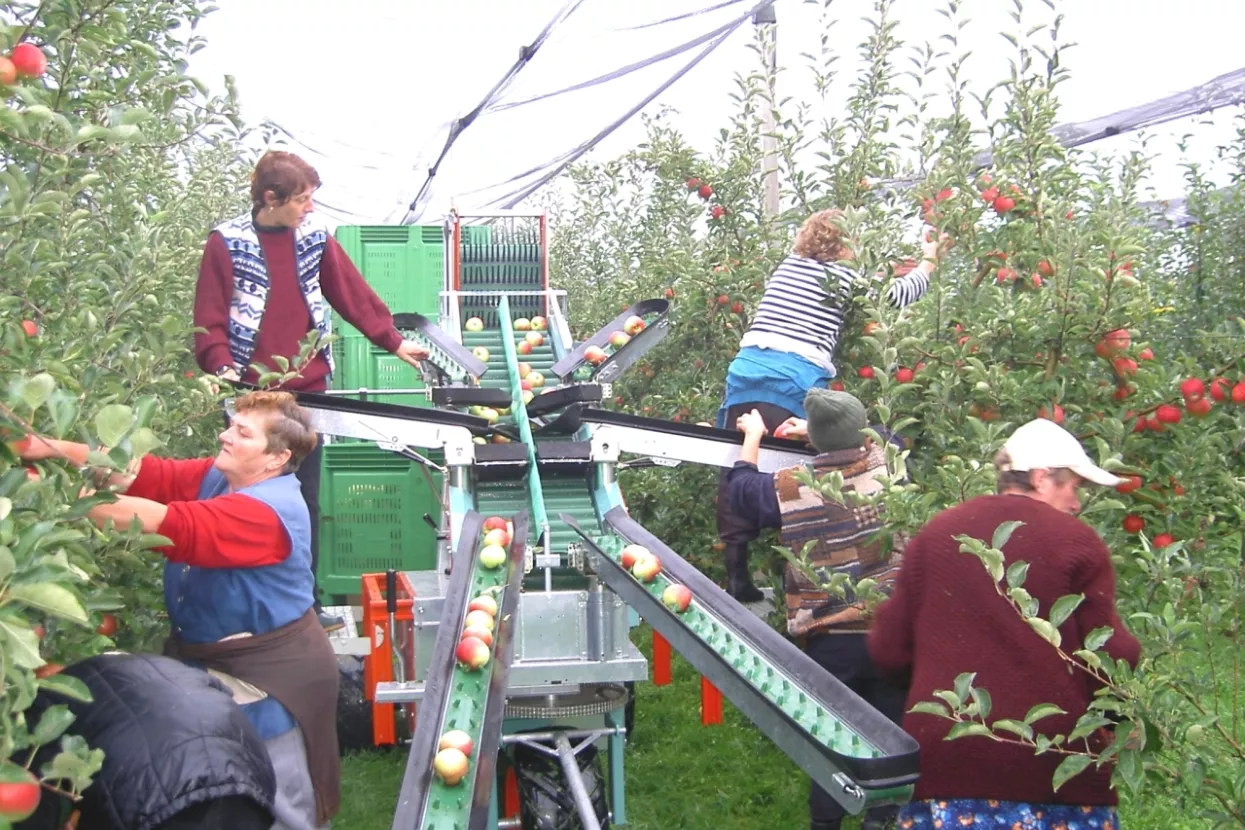 Do jeseni intenzivni inspekcijski nadzori sezonskog zapošljavanja