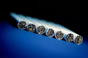 Zbog suše bi urod duhana mogao biti manji 18 posto