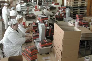 Prerađivačka industrija ima snage izvući Slavoniju iz krize