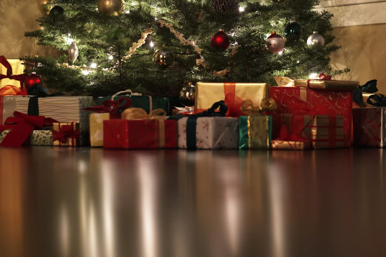 Nižu se rekordi u predbožićnoj potrošnji