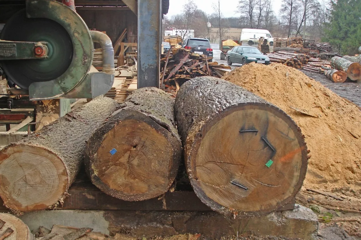Kreće jedna od najvećih investicija u drvnoj industriji
