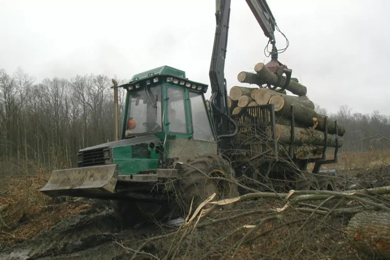 Hrvatske šume zaposlile 100 radnika, za plaće 64 milijuna kuna više