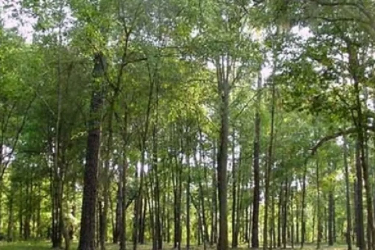 Naplata izleta u prirodu od strane Hrvatskih šuma šokirala javnost