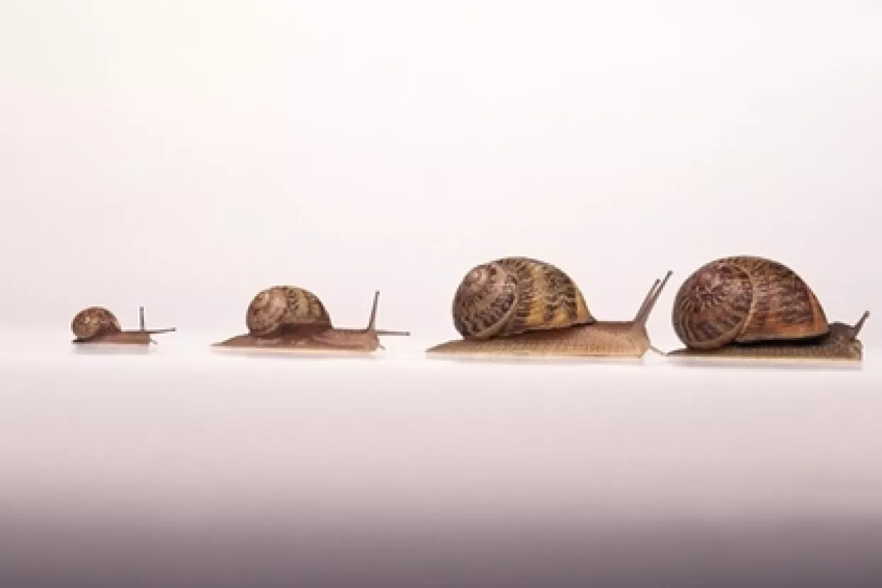 U 2015. bi BDP konačno mogao početi rasti, ali u ovoj godini pad od 0,6 posto