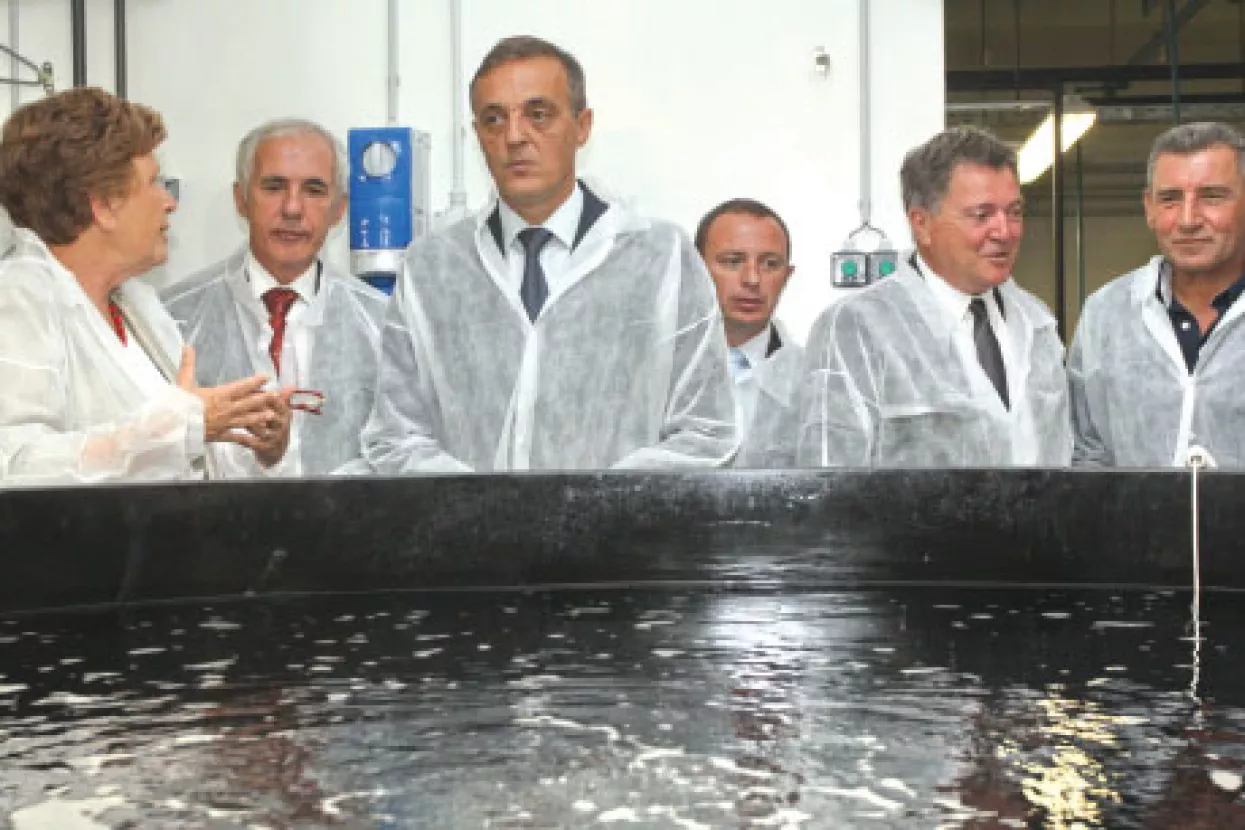 Za&scaron;to treba bježati od svih projekata državnih &lsquo;autocestizacija&rsquo;