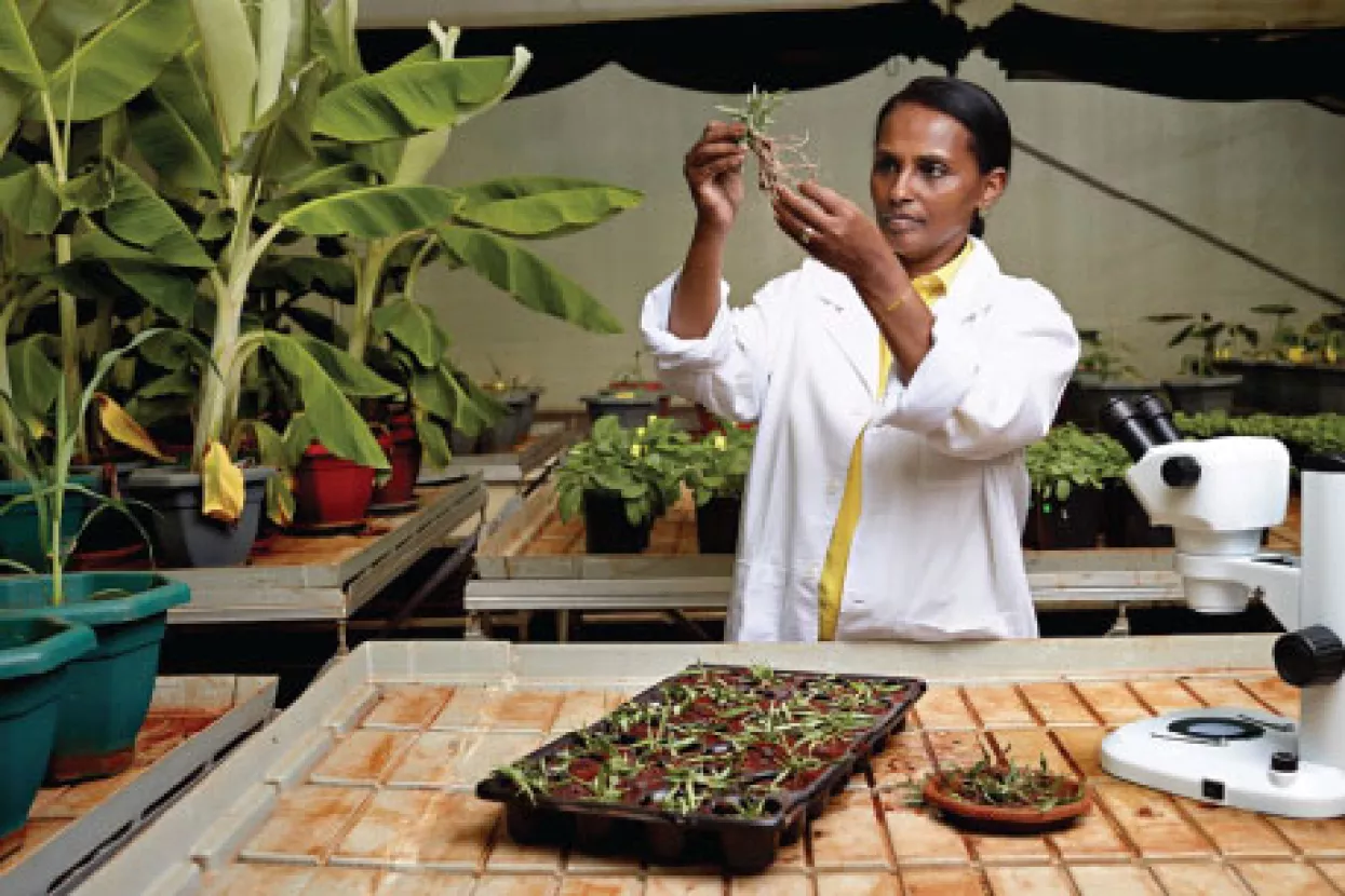Kompanije moraju pronaći svrhu koja nadilazi prodaju