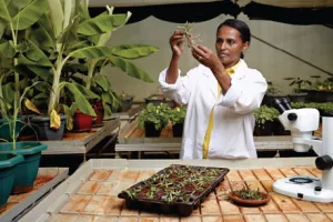 Kompanije moraju pronaći svrhu koja nadilazi prodaju