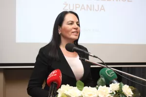 Jurlina Alibegović: Cilj nam je imati efikasnu javnu upravu s efikasnim uslugama građanima