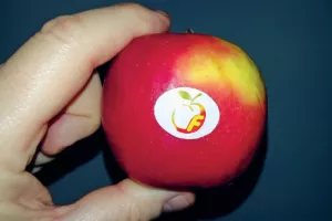Jabuke za snifanje