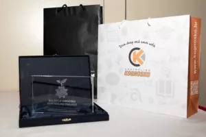 Najbolji kontroling projekt u 2016. godini