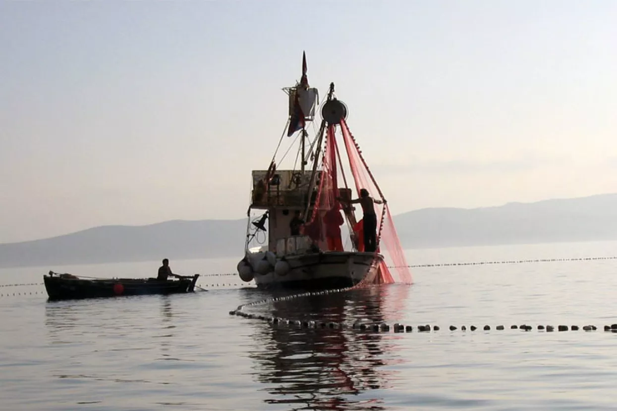 Do kraja godine 11 novih natječaja za ribarstvo