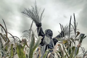 Dobra i zla stra&scaron;ila: Tehnologija u obrani vrtova i usjeva