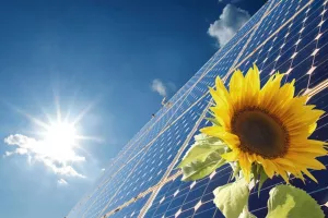 Solarna energija postala jeftinija od fosilnih goriva