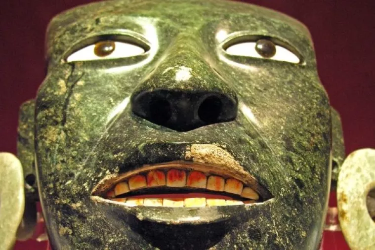 'Super-cool' studija: Analiza DNK sugerira da je Asteke uništila salmonela