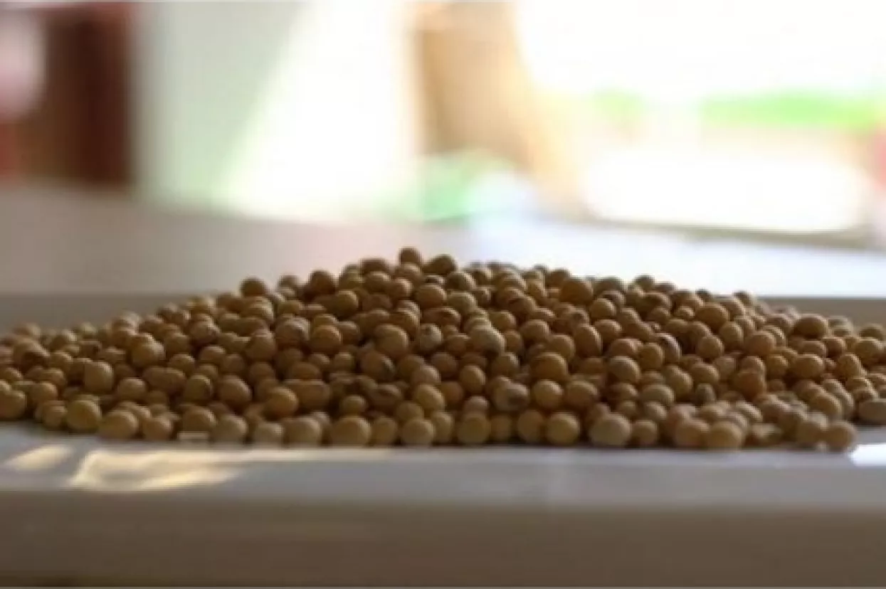 Robne burze: Slijedi zanimljiv period od kojeg stručnjaci očekuju dodatnu korekciju