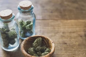 Katalonci usvojili zakonski okvir za 'kanabis klubove'