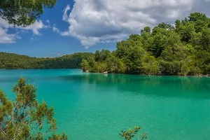 Greenpeace čišćenjem plaže na Mljetu upozorio na ugroženost Jadrana plastičnim otpadom
