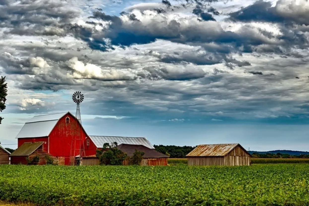 'Ublaživanje štete trgovinskog rata': SAD poljoprivrednicima pomaže s 12 milijardi dolara