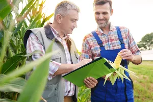 Mjera 17: Osiguravaju se svi, ne samo mladi poljoprivrednici