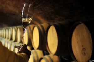 Klik Par u Kutini otvorio tvornicu za proizvodnju barrique bačava