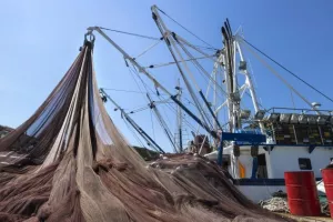 Ribari 'upecali' natječaje u vrijednosti od 274 milijuna kuna