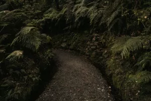 Guste Santini: Olakšice i izuzeća stvaraju hrvatsku 'poreznu džunglu'