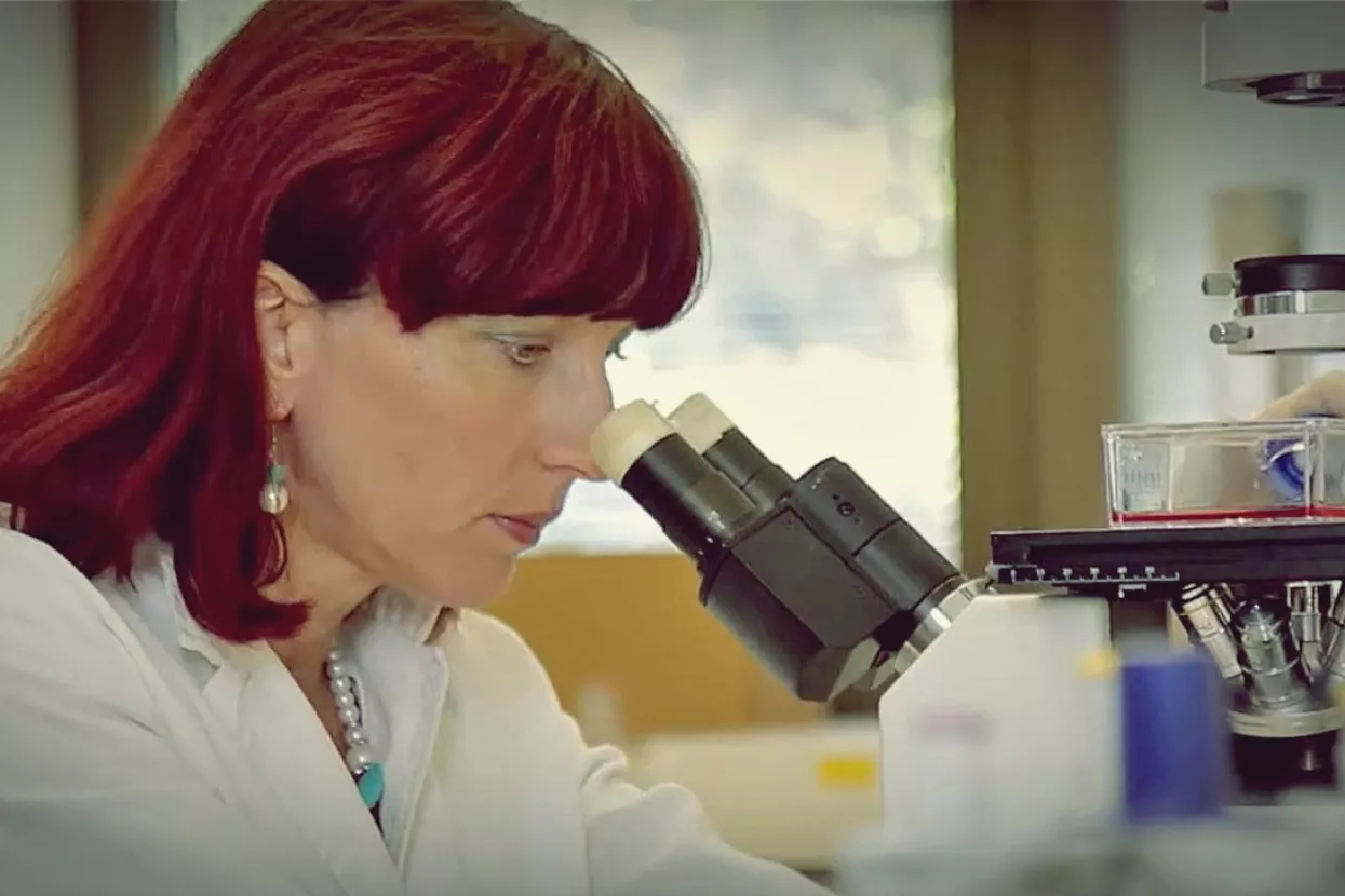 &#39;Ruđer&#39; i Belupo razvijaju inovativne formulacije hrane za posebne medicinske potrebe