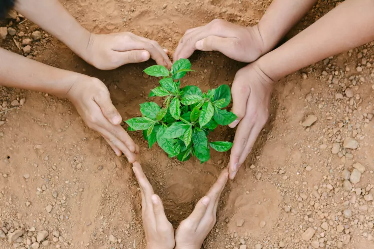 Ministarstvo poljoprivrede pokrenulo aplikaciju za prijavu šteta na poljoprivrednim gospodarstvima