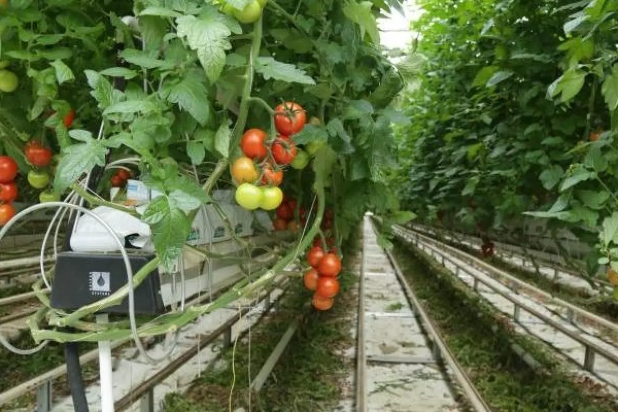 Nova pravila poticanja poljoprivrede - sad će sustav biti pravedniji