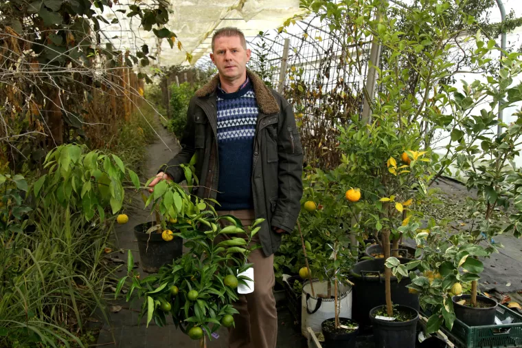 [PODUZETNICI vs. KORONA] Ivan Šulog dobio pandemijski vjetar u leđa za uzgoj egzotičnog voća
