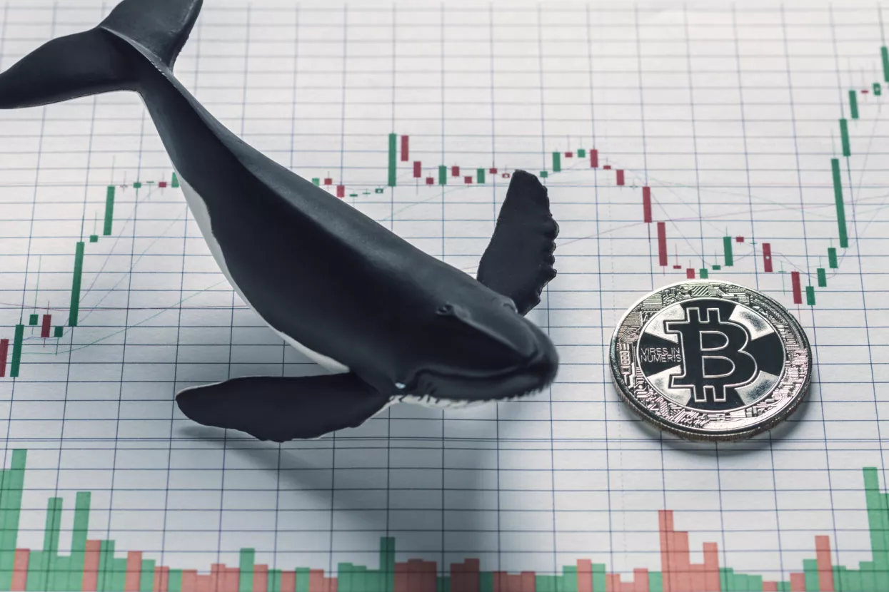 Bitcoin &#39;kitovi&#39; - Elita koja može utjecati i manipulirati valutom