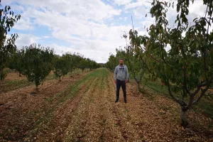Kako poljoprivrednici u Ravnim kotarima planiraju profitirati &#39;zarobljavajući&#39; CO2 i prodajući ga na burzi