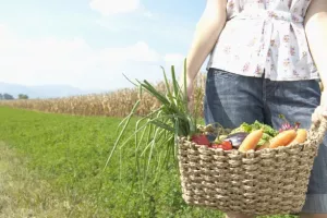 Aplikacija PlantOn povezuje OPG-ove s potrošačima i nudi domaće povrće
