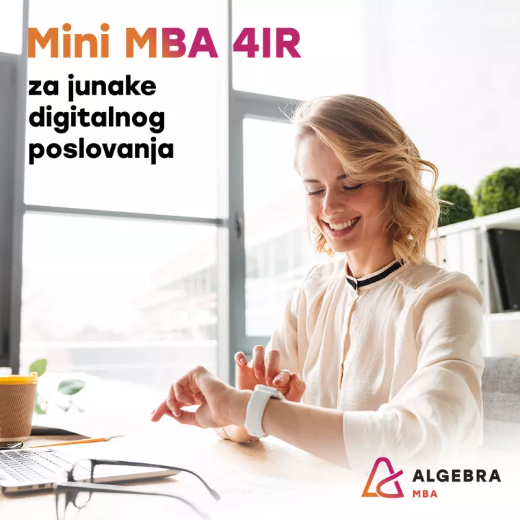 Algebrin Mini MBA &ndash; Znanja za junake 4. industrijske revolucije