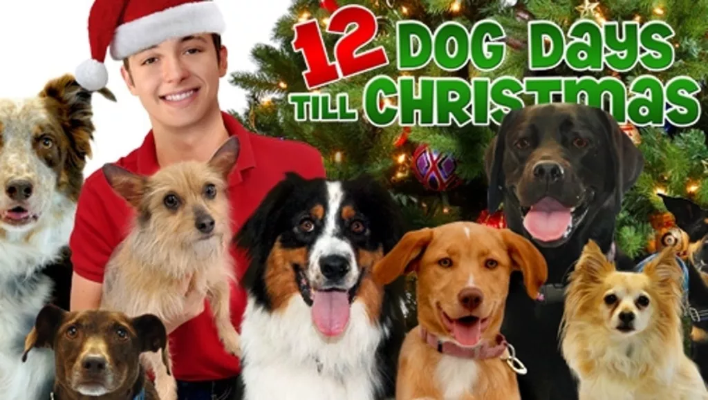 Što gledati tijekom zimskih praznika: savršeni filmovi za cijelu obitelj