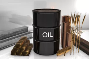 Ima li mjesta za robe u portfeljima investitora? Vrijedi li investirati u njih?