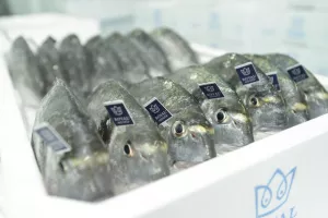 [Poslovni putopis] Orada Adriatic udvostručila prihode u pet godina, a sa strate&scaron;kim partnerom rasla bi jo&scaron; brže