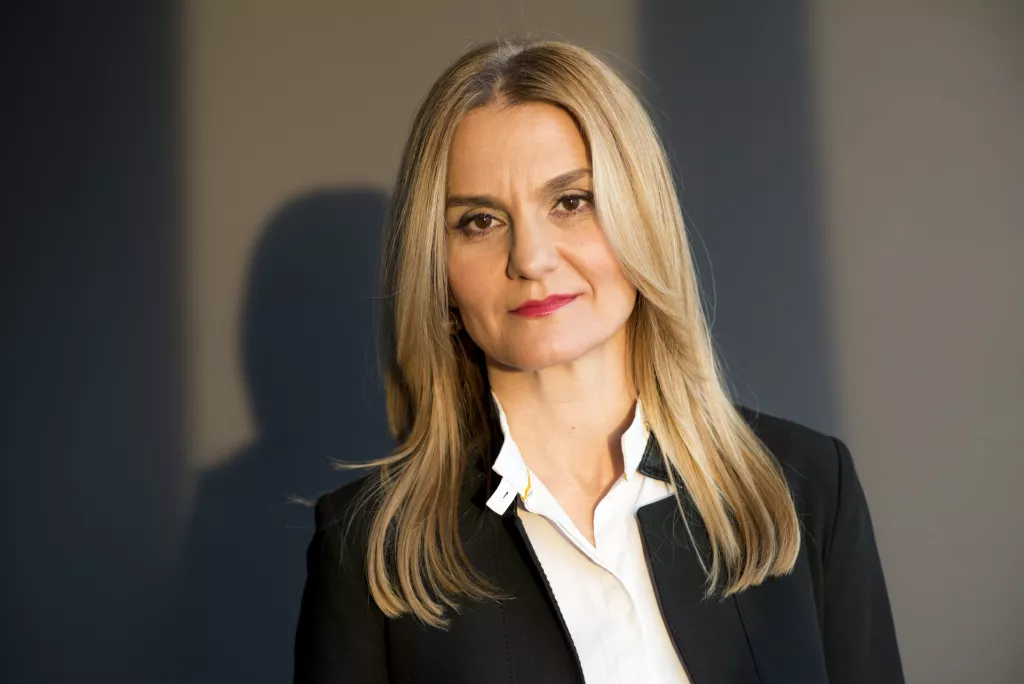 Analiza stanja u energetskom sektoru ili 30 milijardi razloga za jednostavnija ulaganja u OIE