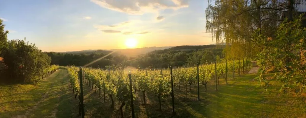 MoslaVina i Kutina