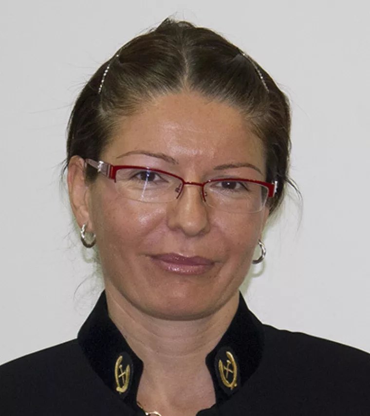 Prof. dr. sc. Sibila Borojević Šoštarić, sa Zavoda za mineralogiju, petrologiju i mineralne sirovine Rudarsko-geološkog-naftnog fakulteta Sveučilišta u Zagrebu objašnjava kako najveći rast od 30 posto u razdoblju od 2021. do 2023. među kritičnim sirovinama bilježi litij, dok najmanji rast od tri posto bilježi bakar. U isto vrijeme cijene svih ovih metala na svjetskim burzama padaju jer je u ovom trenutku proizvodnja veća od potražnje 
