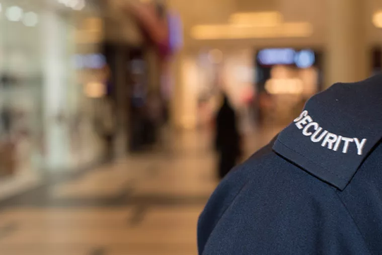 Zaštitarske tvrtke i škole surađuju do kraja školske godine, nakon toga nije poznato što će se događati