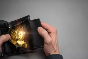 Kripto novčanik 