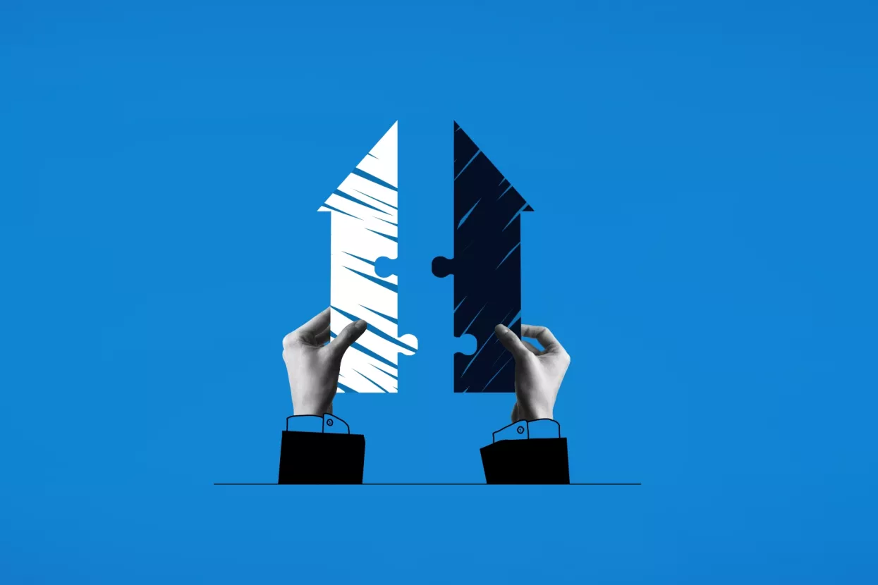 akvizicija, spajanje