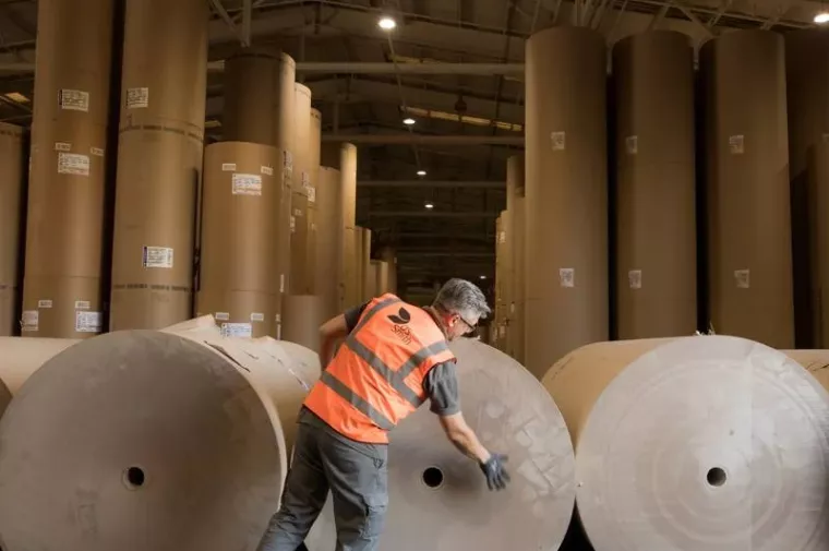 DS Smith tvornica papira